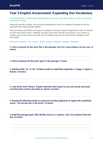 Free Vocabulary Assessment | Year 3 Core | BookFlik