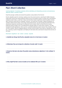 Free Vocabulary Comprehension Worksheet | Year 5 Core | BookFlik