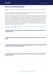 Free Animals Comprehension | Year 4 Greater Depth | BookFlik