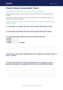 Free Colours Assessment | Year 4 Supported | BookFlik
