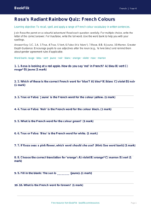 Free Colours Quiz | Year 4 Greater Depth | BookFlik