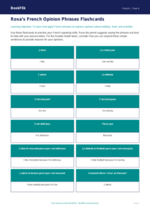 Free Opinion Phrases Flashcards | Year 4 Greater Depth | BookFlik
