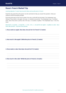 Free Shopping Track Sheet | Year 4 Supported | BookFlik