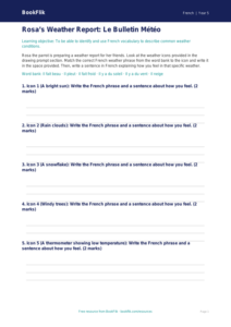 Free Weather Activity Sheet | Year 5 Core | BookFlik