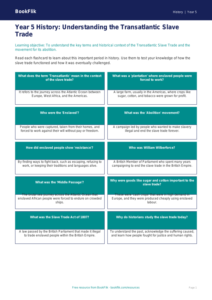 Free Slavery Flashcards | Year 5 Core | BookFlik