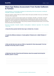 Free Stone Age Assessment | Year 5 Core | BookFlik