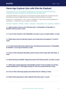Free Stone Age Quiz | Year 5 Core | BookFlik