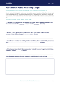 Free Measurement Activity Sheet | Year 4 Supported | BookFlik
