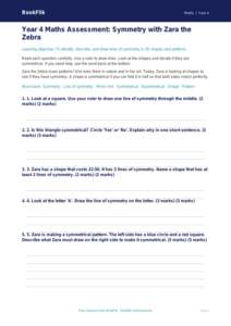 Free Symmetry Assessment | Year 4 Supported | BookFlik