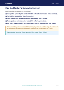 Free Symmetry Poster | Year 4 Supported | BookFlik