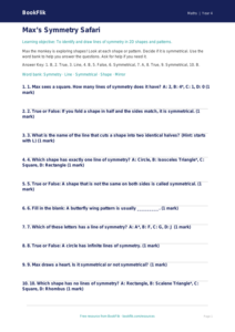 Free Symmetry Quiz | Year 4 Supported | BookFlik