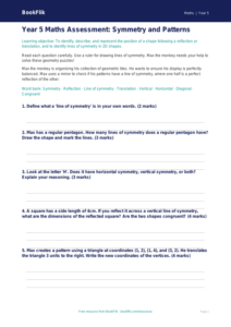 Free Symmetry Assessment | Year 5 Core | BookFlik