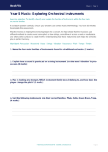 Free Instruments Assessment | Year 5 Core | BookFlik