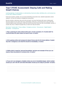 Free Personal Safety Assessment | Year 5 Core | BookFlik
