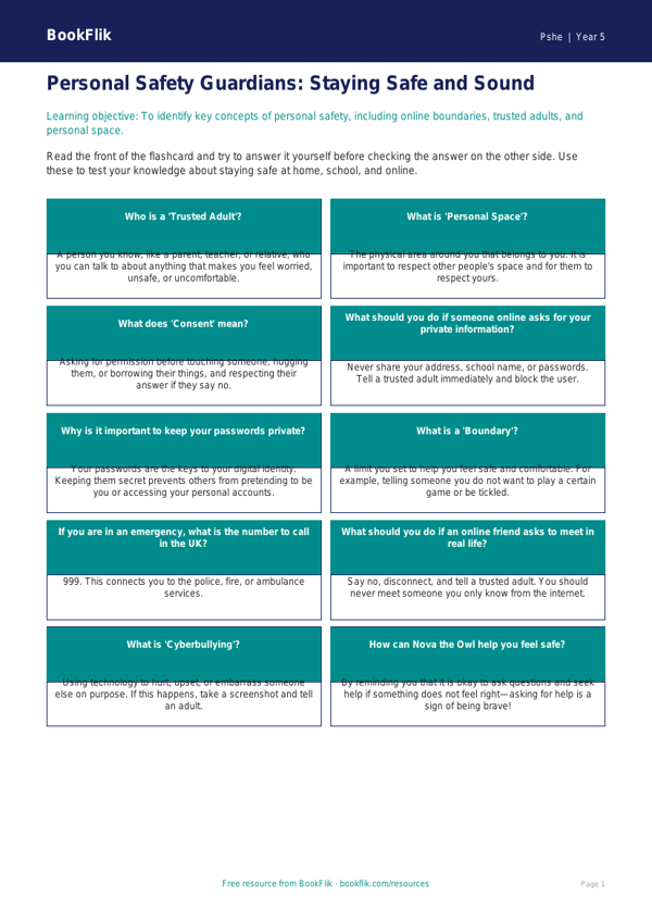 Free Personal Safety Flashcards | Year 5 Core | BookFlik worksheet preview — Pshe Personal Safety