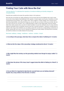 Free Wellbeing Comprehension | Year 5 Core | BookFlik