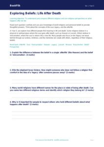 Free Life After Death Worksheet | Year 5 Core | BookFlik