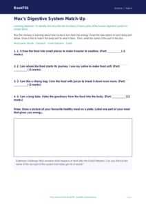 Free Animals Including Humans Activity Sheet | Year 4 Supported | BookFlik