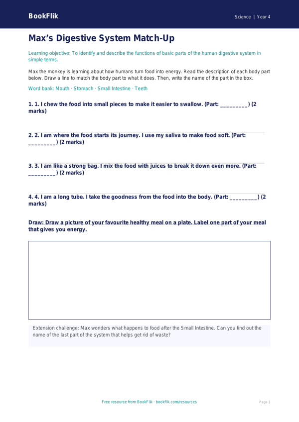 Free Animals Including Humans Activity Sheet | Year 4 Supported | BookFlik worksheet preview — Science Animals Including Humans