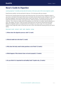 Free Animals Including Humans Comprehension | Year 4 Supported | BookFlik