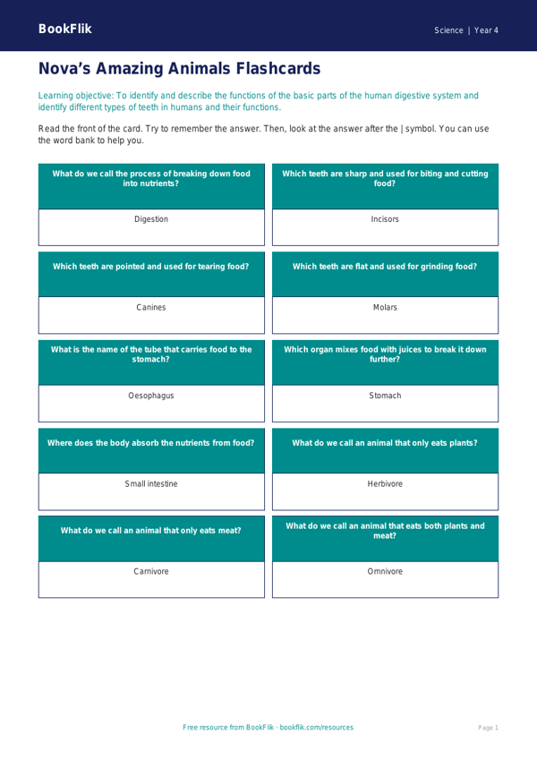 Free Animals Including Humans Flashcards | Year 4 Supported | BookFlik worksheet preview — Science Animals Including Humans