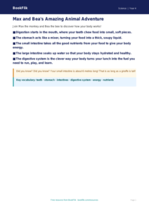 Free Animals Including Humans Poster | Year 4 Supported | BookFlik