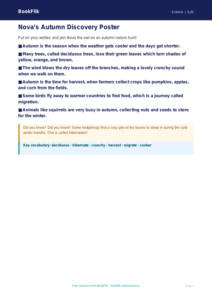 Free Autumn Science Poster | EYFS Core | BookFlik