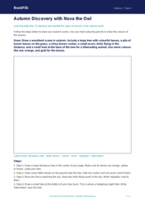 Free Autumn Science Drawing Sheet | Year 4 Supported | BookFlik