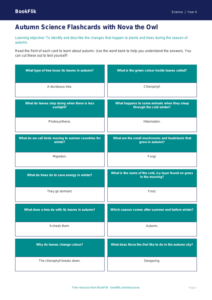 Free Autumn Science Flashcards | Year 4 Supported | BookFlik