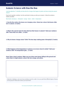 Free Autumn Science Worksheet | Year 4 Supported | BookFlik