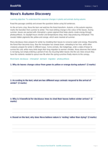 Free Autumn Science Comprehension | Year 5 Core | BookFlik