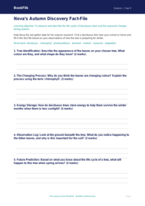 Free Autumn Science Template | Year 5 Core | BookFlik