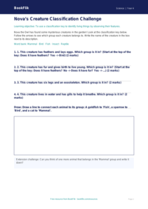 Free Classification Keys Activity Sheet | Year 4 Supported | BookFlik