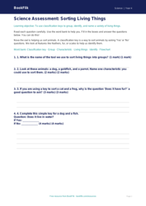 Free Classification Keys Assessment | Year 4 Supported | BookFlik