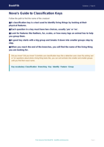 Free Classification Keys Poster | Year 4 Supported | BookFlik