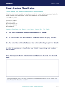 Free Classification Keys Worksheet | Year 4 Supported | BookFlik