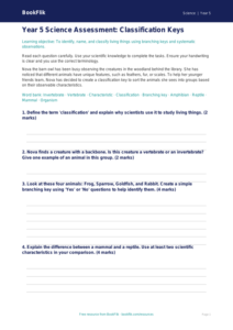Free Classification Keys Assessment | Year 5 Core | BookFlik