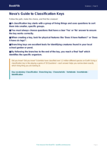 Free Classification Keys Poster | Year 5 Science | BookFlik