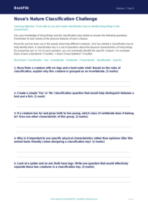Free Classification Keys Worksheet | Year 5 Science | BookFlik