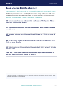 Free Digestion Activity Sheet | Year 4 Supported | BookFlik