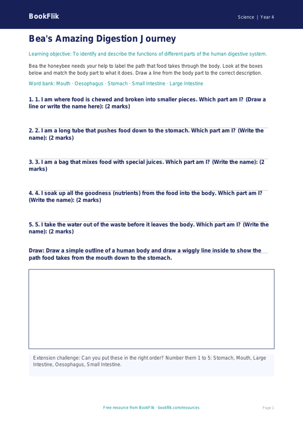 Free Digestion Activity Sheet | Year 4 Supported | BookFlik worksheet preview — Science Digestion