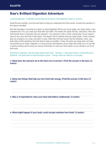 Free Digestion Comprehension | Year 4 Supported | BookFlik
