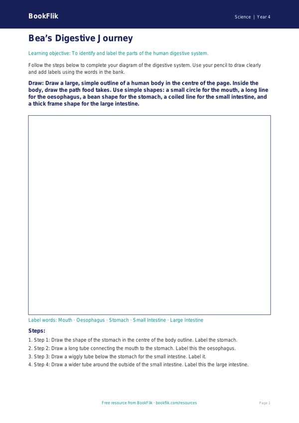 Free Digestion Drawing Sheet | Year 4 Supported | BookFlik worksheet preview — Science Digestion
