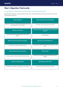 Free Digestion Flashcards | Year 4 Supported | BookFlik