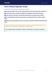 Free Digestion Poster | Year 4 Supported | BookFlik
