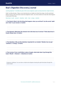 Free Digestion Template | Year 4 Supported | BookFlik