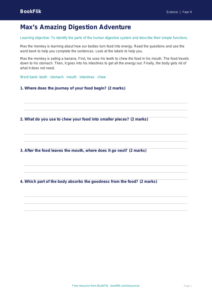 Free Digestion Worksheet | Year 4 Supported | BookFlik