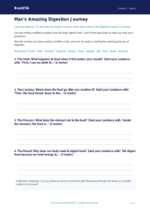 Free Digestion Writing Frame | Year 4 Supported | BookFlik