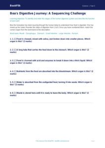 Free Digestion Activity Sheet | Year 5 Core | BookFlik