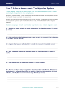 Free Digestion Assessment | Year 5 Core | BookFlik